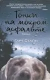 Гонки на мокром асфальте — Ґарт Стайн